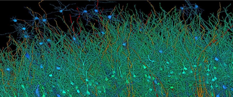 Image Source: Google Blog