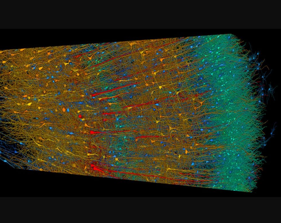 Image Source: Google Blog