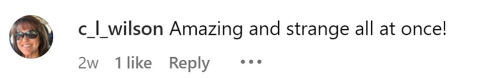 Image Source: Instagram | @c_l_wilson