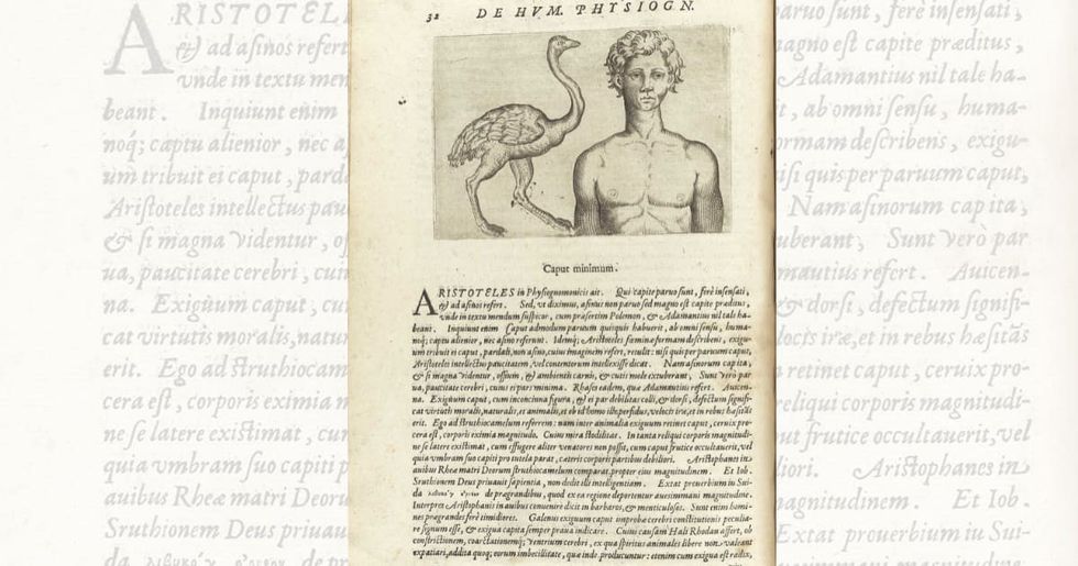 Image Source: National Library of Medicine