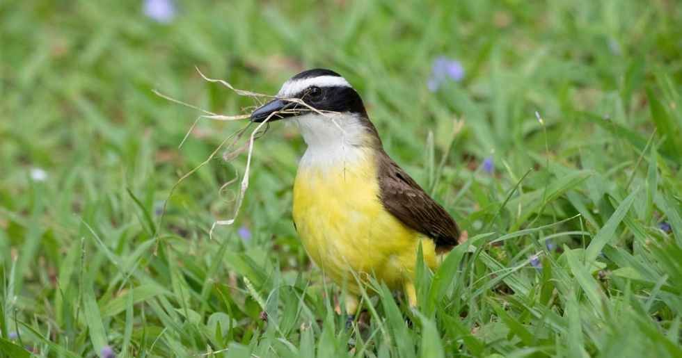 Image Source : Pexels I Photo by Gabriel Moreno