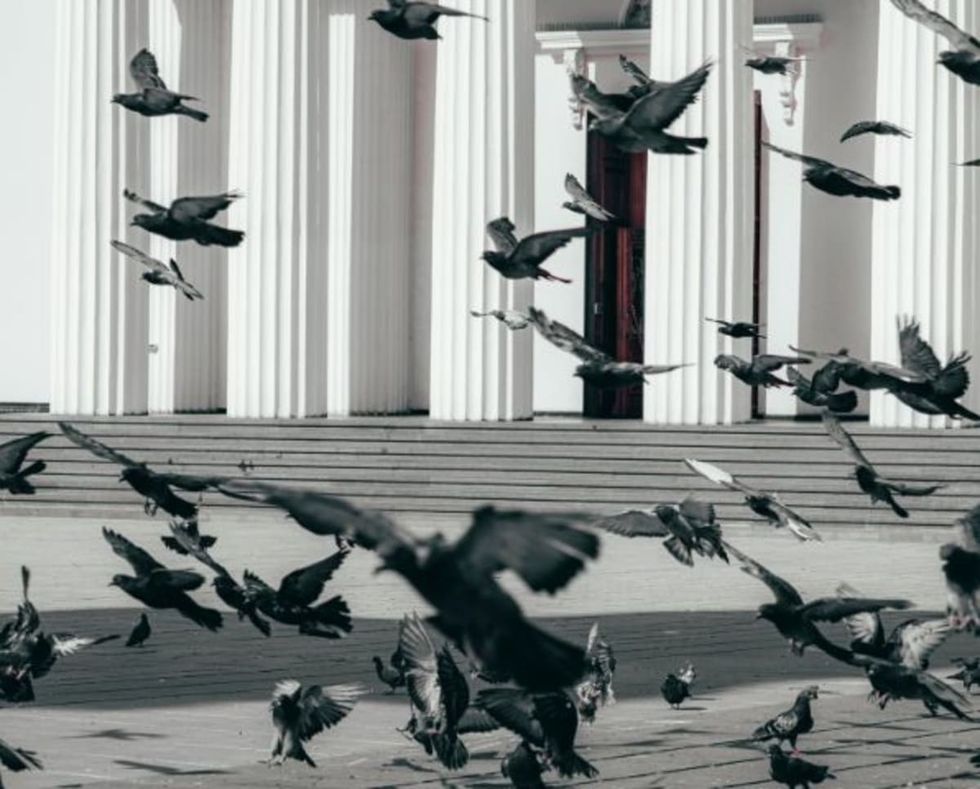 Image source: Pexels | Photo by Ion Ceban