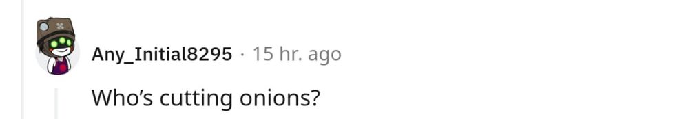 Image Source: Reddit | @Any_Initial8295