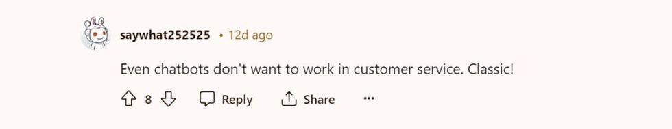 Image Source : Reddit I u/saywhat252525