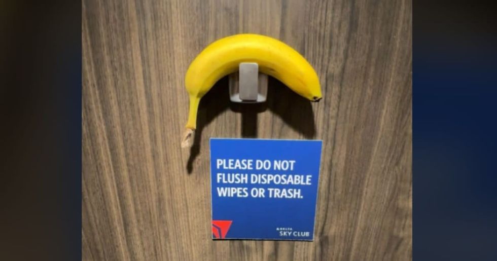 Image Source : Reddit I u/