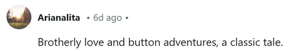 Image Source: Reddit | u/arianalita