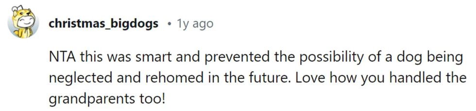 Image Source: Reddit | u/christmas_bigdogs