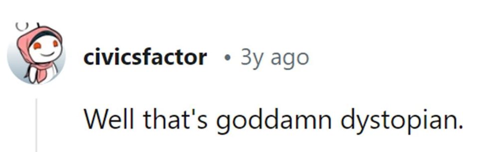 Image Source: Reddit | u/civicsfactor