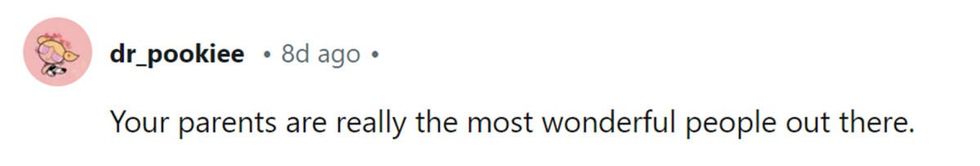 Image Source: Reddit | u/dr_pookiee