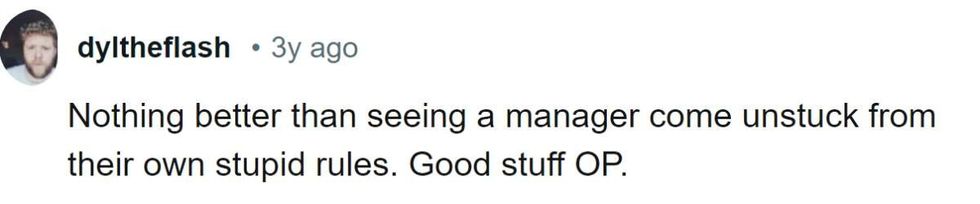 Image Source: Reddit | u/dyltheflash