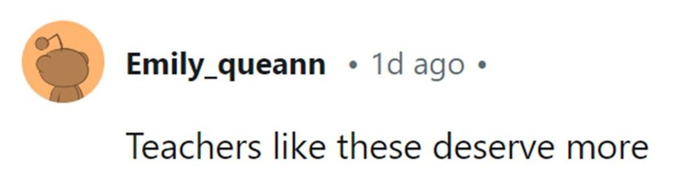 Image Source: Reddit | u/emily_queann