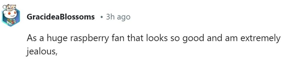 Image Source: Reddit | u/gracideablossoms