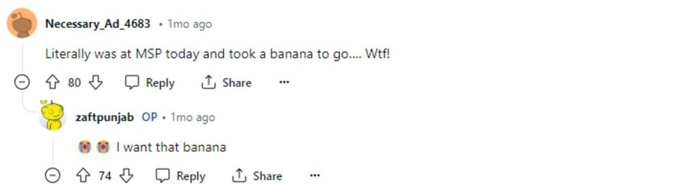 Image source: Reddit | u/Necessary_Ad_4683