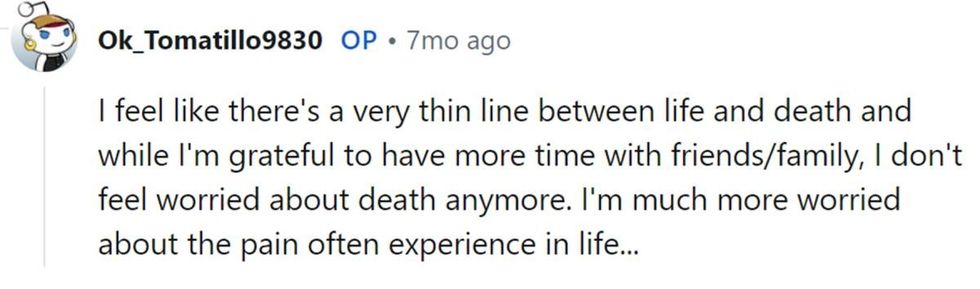 Image Source: Reddit | u/OK_Tomatillo9830