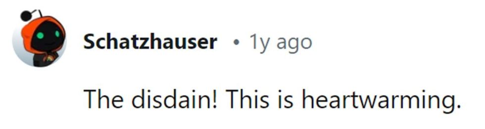 Image Source: Reddit | u/schatzhauser