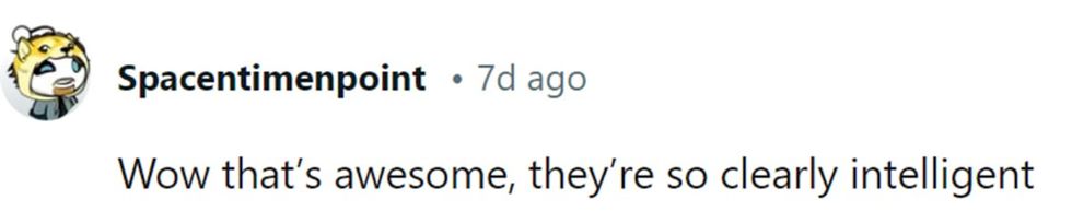 Image Source: Reddit | u/spacentimenpoint