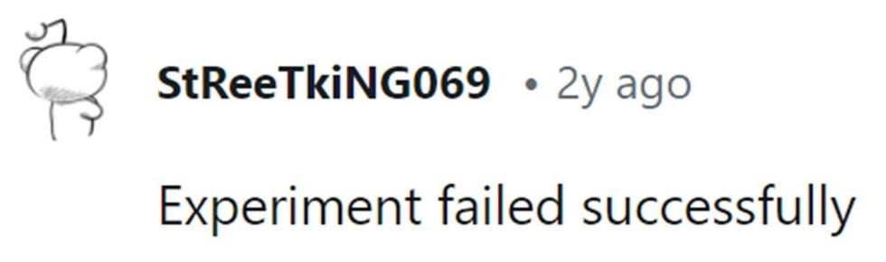 Image Source: Reddit | u/streetking069