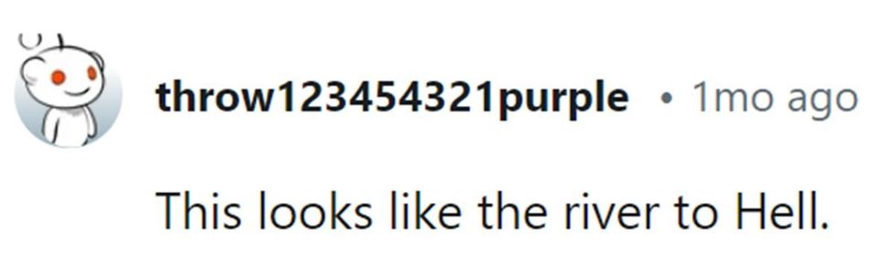 Image Source: Reddit | u/throw123454321purple