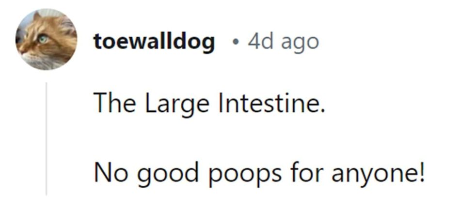 Image Source: Reddit | u/toewalldog