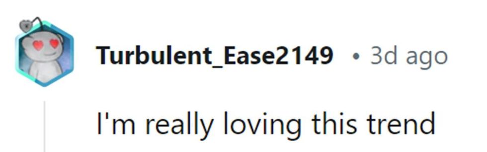 Image Source: Reddit | u/turbulent_ease2149