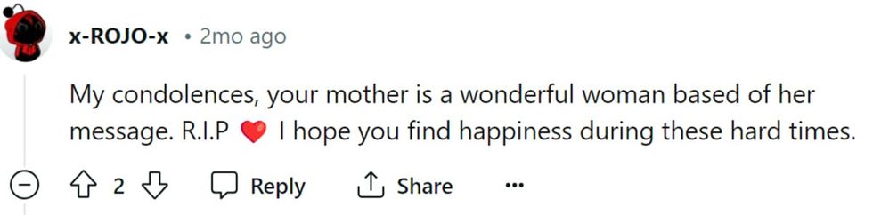 Image Source: Reddit | u/x-rojo-x