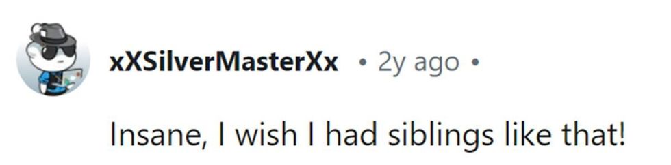 Image Source: Reddit | u/xxsilvermasterxx