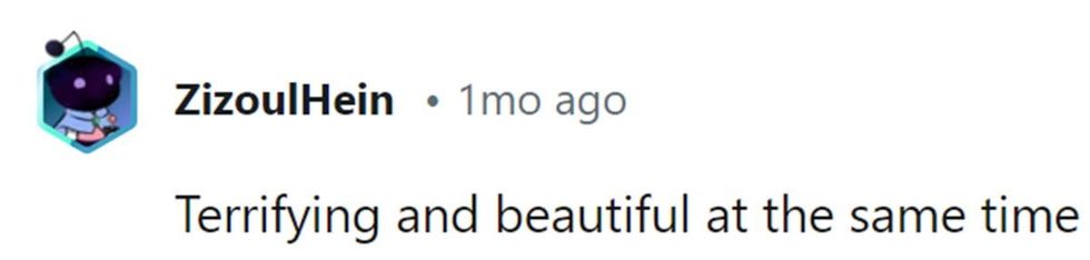 Image Source: Reddit | u/ziizoulhein