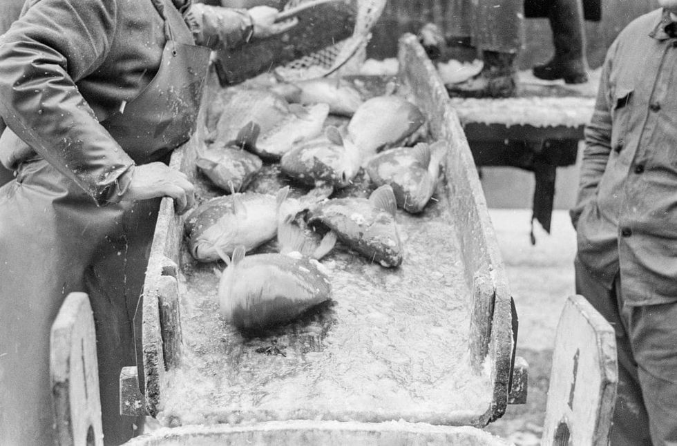 Image Source: The fish market at the Danube Canal. Vienna. (Photo by Votava/brandstaetter images via Getty Images)