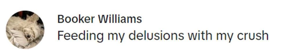 Image Source: TikTok | @absoluttoks