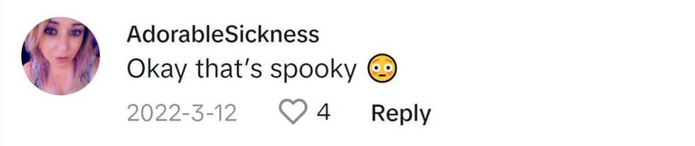 Image Source: TikTok|@adorablesickness