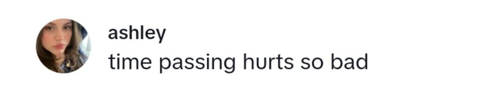 Image Source: TikTok | @ashley