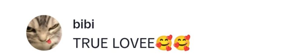 Image Source: TikTok | @bibi