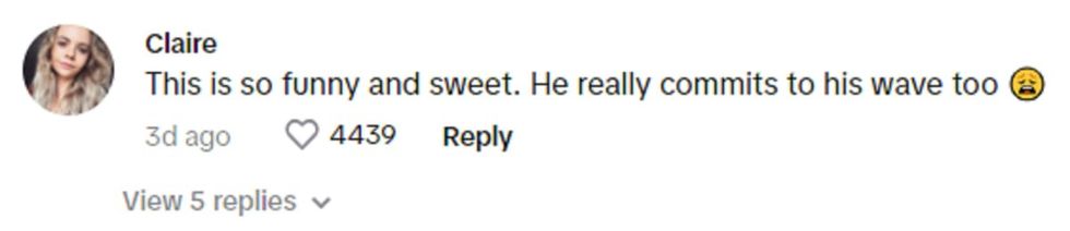 Image Source: Tiktok | bmblbb