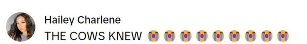 Image Source: TikTok | @haileystel