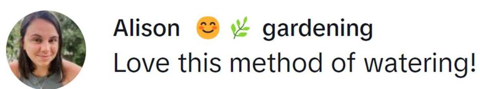 Image Source: TikTok | @healyourselfwithnature