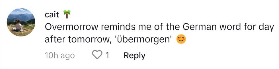 Image Source: TikTok I @bluebearsbestfriend