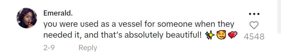 Image Source - TikTok I @emerald