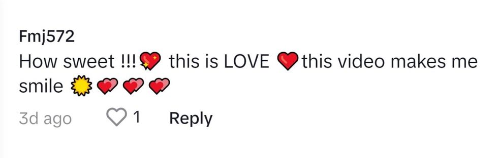 Image Source: TikTok I @fmj572