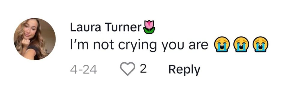 Image Source: TikTok I @laurakturner_