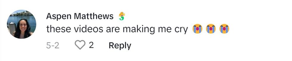 Image Source: TikTok I @ravenhair0804