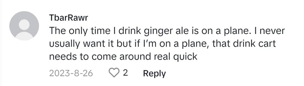 Image Source: TikTok I @tbar_rawr