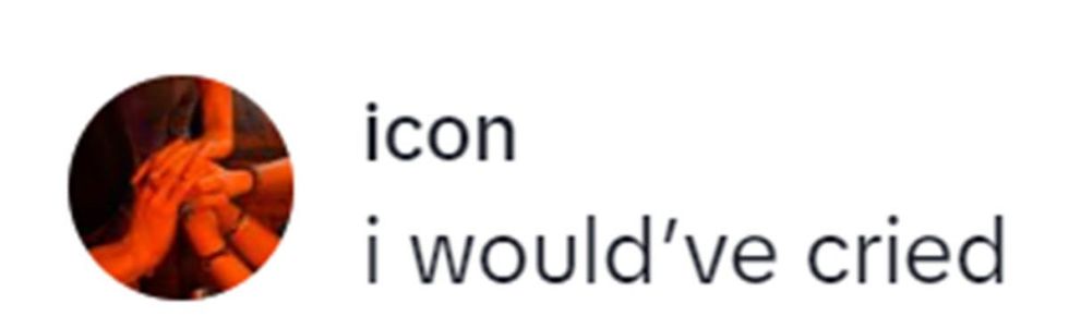 Image Source: TikTok | @idgafsyd