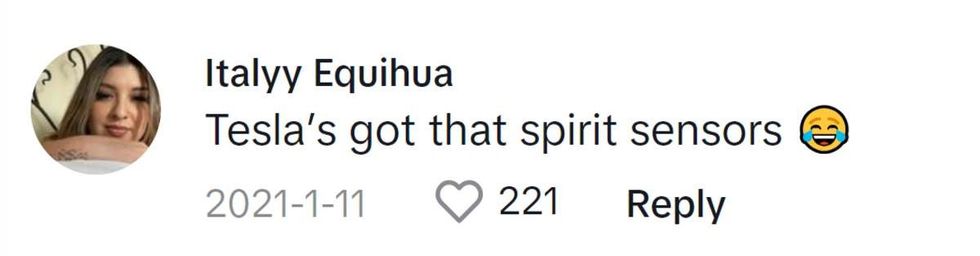 Image Source: TikTok|@iitaly_