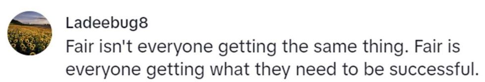 Image Source: TikTok | @ladeebug8