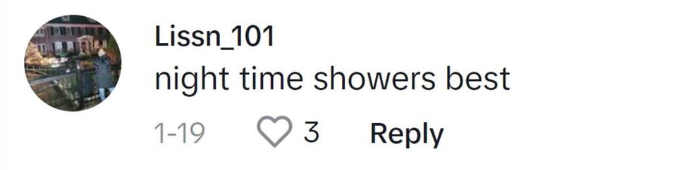 Image Source: TikTok| @Liss_n101