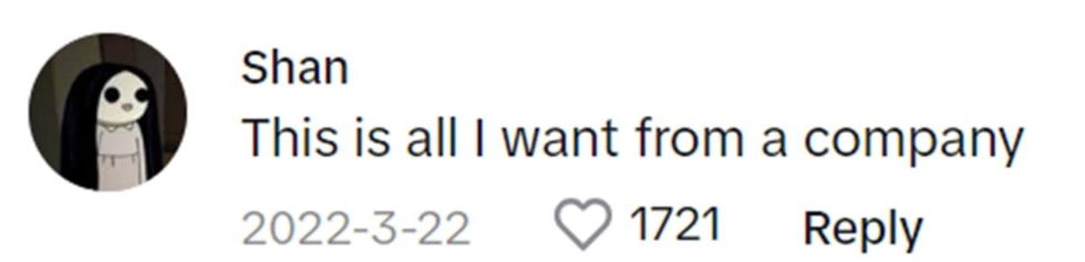 Image Source: TikTok | @littlepeanut711