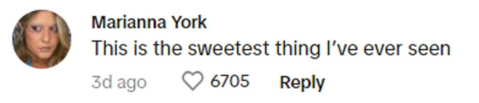 Image Source: Tiktok | mariannayork