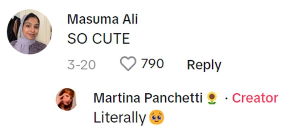 Image Source: TikTok | @masumariazali