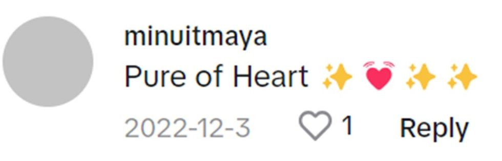 Image Source: TikTok | @minuitmaya