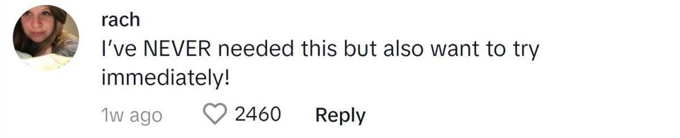 Image Source: TikTok| @rachelllsays